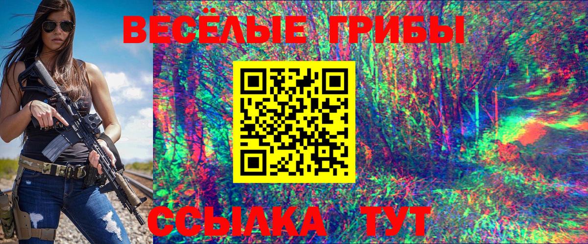 купить наркотик  Псилоцибиновые грибы Cubensis  Вход с VPN  Гатчина 